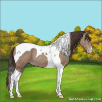 Horse Color:Classic Champagne Tobiano 