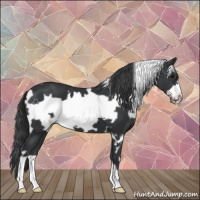 Horse Color:White Spotted Black Frame 