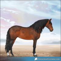 Horse Color:Brown 