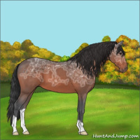 Horse Color:Brown Ice 