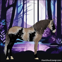 Horse Color:White Spotted Classic Champagne 