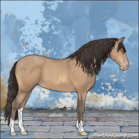 Horse Color:Amber Champagne 