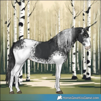 Horse Color:White Spotted Black 