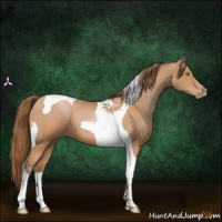 Horse Color:Bay Pearl Tobiano 
