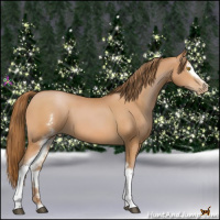 Horse Color:White Spotted Bay Pearl 