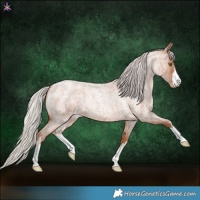 Horse Color:White Spotted Silver Bay Roan Pearl
