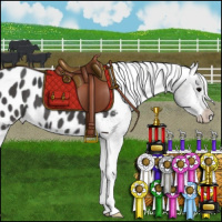 Horse Color:Black Appaloosa