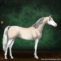 Horse Color:Silver Brown Pearl Dun Splash 
