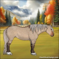 Horse Color:Silver Brown Dun 