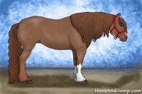 Horse Color:Red Roan 