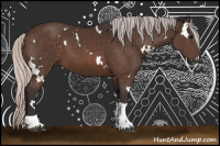 Horse Color:White Spotted Silver Brown Tobiano