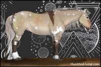 Horse Color:White Spotted Silver Brown Dun Tobiano Rabicano 