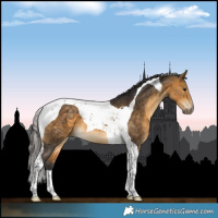 Horse Color:Buckskin Tobiano 