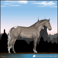 Horse Color:Silver Grullo Tobiano 
