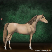 Horse Color:Black Pearl