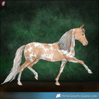 Horse Color:White Spotted Chestnut Pearl 