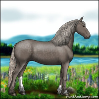 Horse Color:Silver Black 