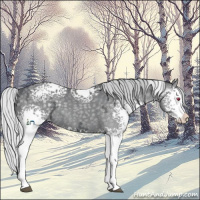 Horse Color:White Spotted Silver Grullo Chinchilla Ice 