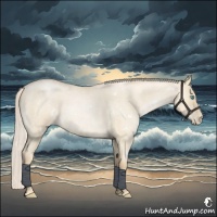 Horse Color:White Spotted Palomino Roan Pearl Dun 