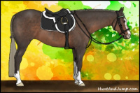 Horse Color:Liver Chestnut Mushroom Sabino 