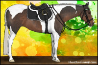 Horse Color:Liver Chestnut Mushroom Tobiano