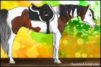 Horse Color:Bay Splash Tobiano 