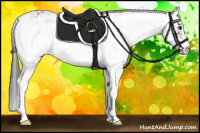 Horse Color:Bay Sabino