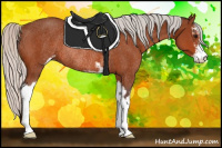 Horse Color:Silver Bay Sabino Rabicano