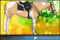 Horse Color:Gold Cream Champagne Tobiano