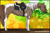 Horse Color:Liver Red Dun Tobiano 