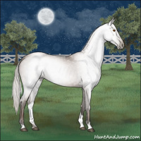 Horse Color:Gray Silver Black Pearl Tobiano 