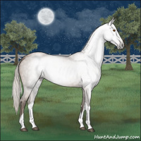 Horse Color:Gray Silver Black Pearl Tobiano 