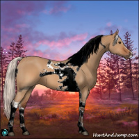 Horse Color:ERROR: UNKNOWN ANOMALY