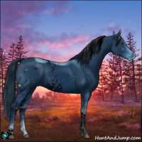 Horse Color:ERROR: UNKNOWN ANOMALY