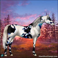 Horse Color:ERROR: UNKNOWN ANOMALY