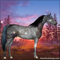 Horse Color:ERROR: UNKNOWN ANOMALY