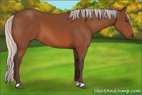 Horse Color:Silver Bay