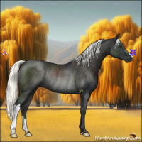 Horse Color:Liver Chestnut Mushroom Rabicano 