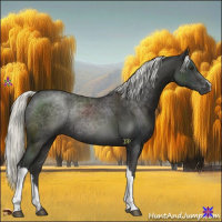 Horse Color:Liver Chestnut Mushroom 
