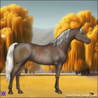 Horse Color:Liver Chestnut Mushroom Rabicano 