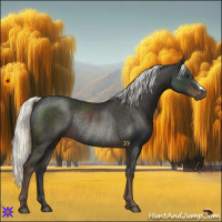 Horse Color:Liver Chestnut Mushroom Rabicano 