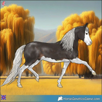 Horse Color:Liver Chestnut Mushroom Splash 