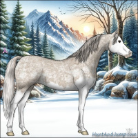 Horse Color:Silver Grullo Ice Splash 