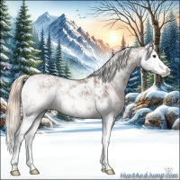 Horse Color:Chestnut Ice Sabino