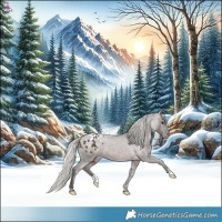 Horse Color:Silver Brown Ice Roan Appaloosa