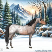 Horse Color:Bay Ice Roan 