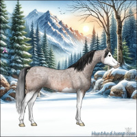 Horse Color:Bay Ice Roan Splash 