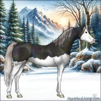 Horse Color:Midnight Silver Black Ice Splash 
