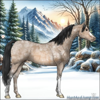 Horse Color:Bay Ice Dun 