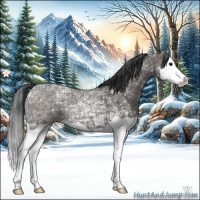 Horse Color:Grullo Ice Splash 